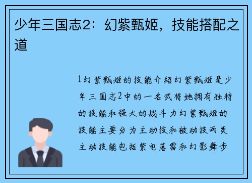 少年三国志2：幻紫甄姬，技能搭配之道